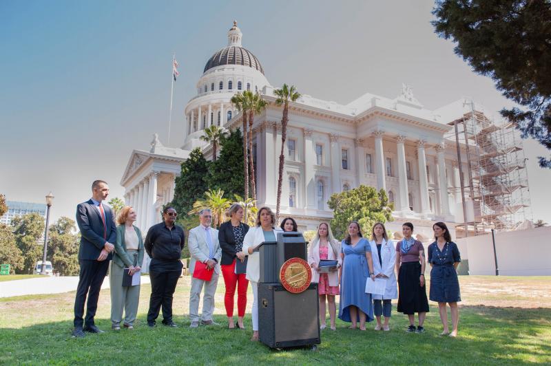 Capitol press conference