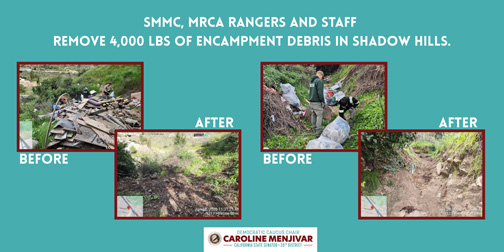 Shadow Hills Cleanup graphic