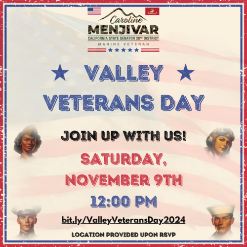 Valley Veterans Day